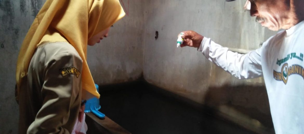 51661746_397046397721948_5451430855840890880_o